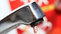 Heatwave leaves four Cork areas at risk of drought 
