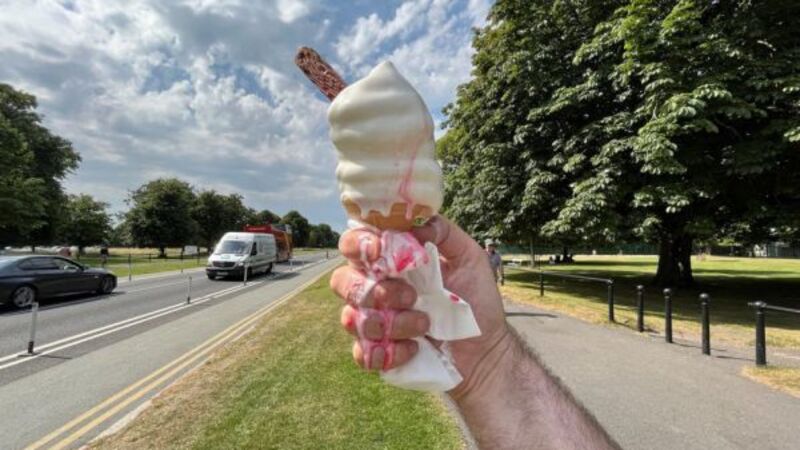 Ireland must prepare for extreme heat of climate change, Government warned