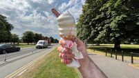 Ireland must prepare for extreme heat of climate change, Government warned