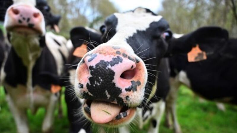 Time to act on methane emissions is now, warns climate expert