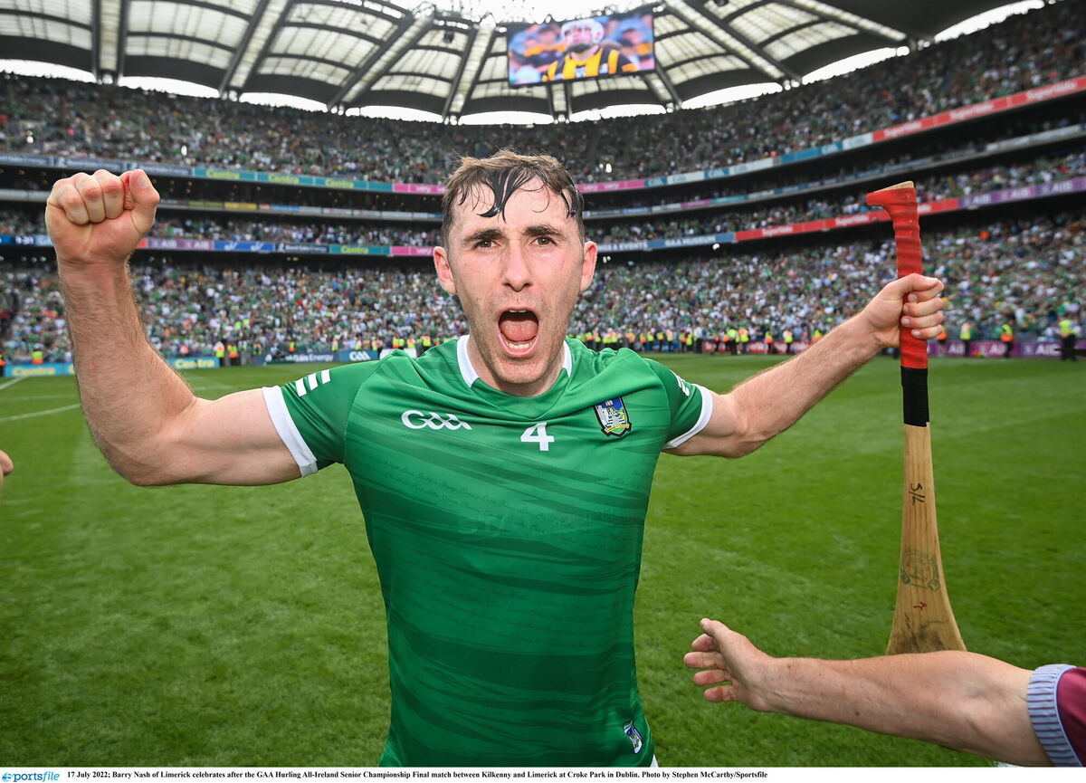 Barry Nash of Limerick. Picture: Stephen McCarthy/Sportsfile