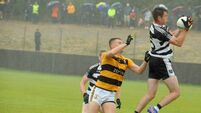 Gary Murphy and Andrew O'Sullivan shine for Castletownbere in Piarsaigh win