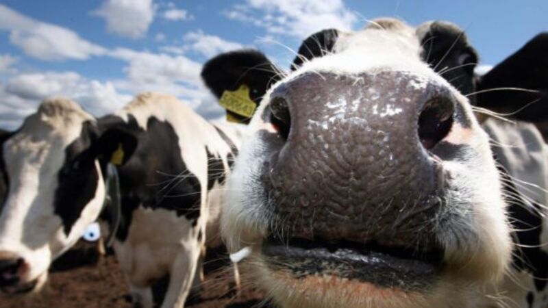 Agriculture Minister ‘very committed’ to 51% emissions cut by 2030