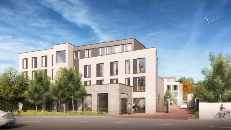 Developer appears to have abandoned plans to build Cork student accommodation, High Court hears Developer appears to have abandoned plans to build Cork student accommodation, High Court hears