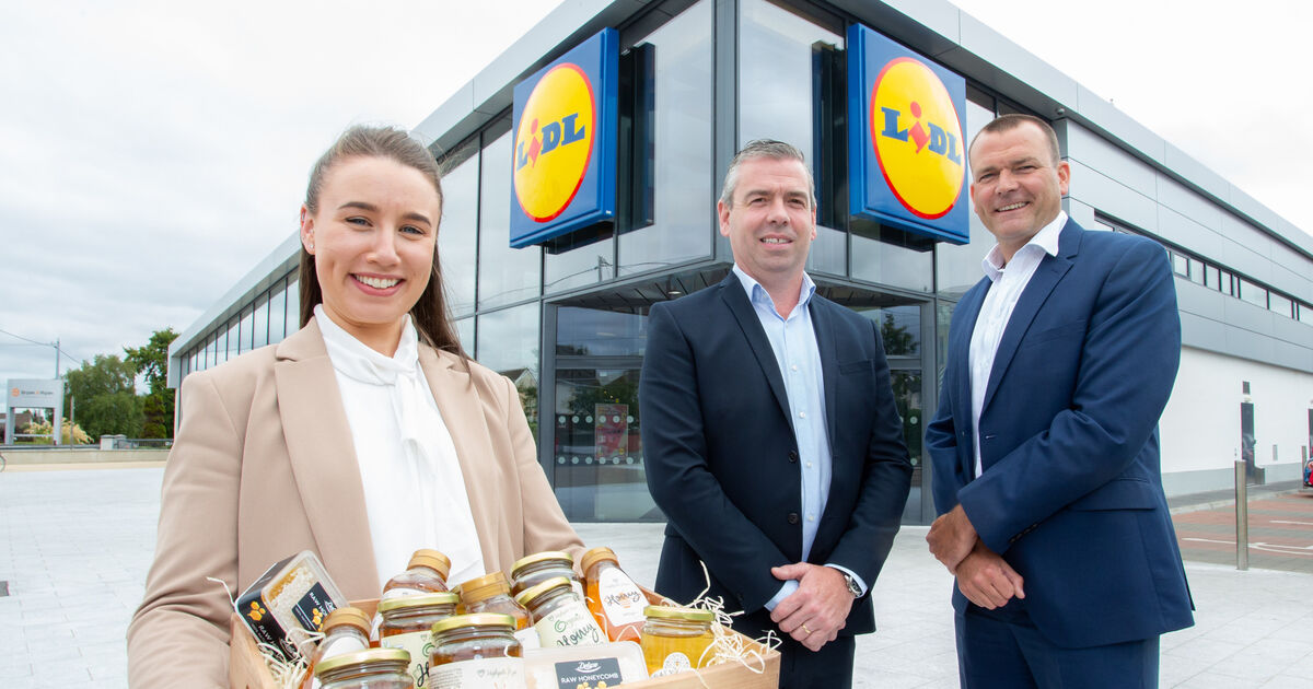 Cork-based beekeepers sign €3m deal with Lidl Ireland - Vimarsana News