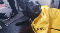 Howth RNLI rescue father, son and dog 'Billy' after engine failure