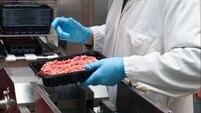 Residents challenge permission for €40m meat plant in midlands