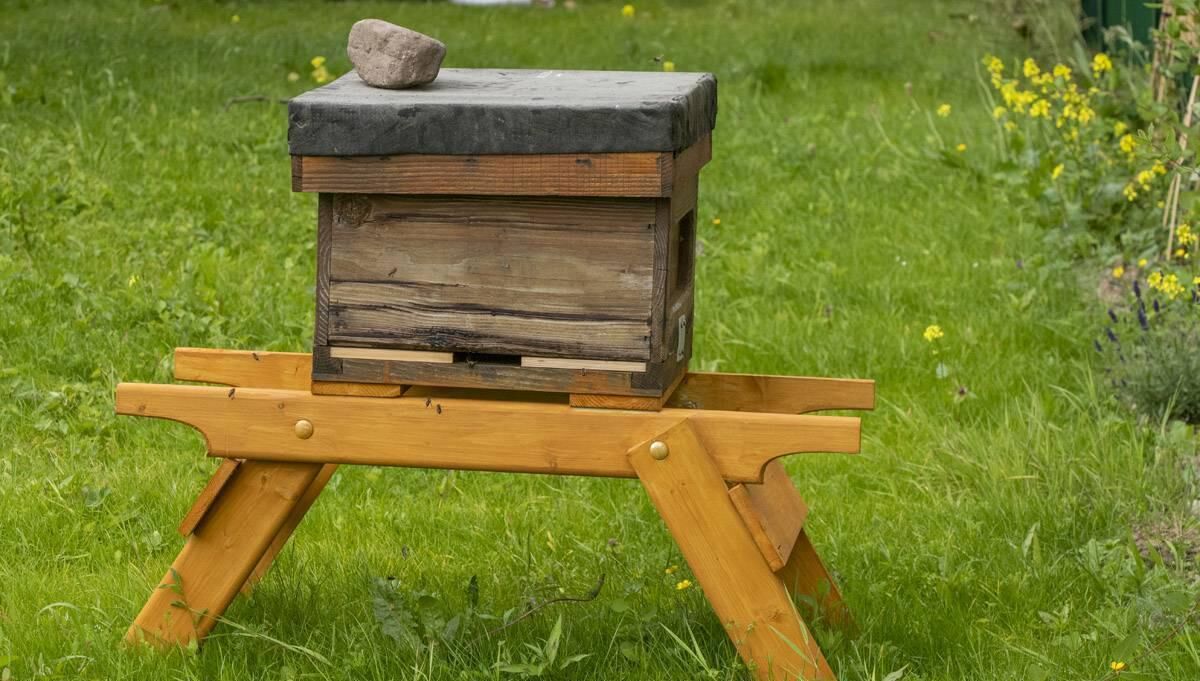 Two beehives are installed on the Wilton campus of CUH.