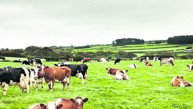 Farmers up for challenge: Cork response to deal on emissions