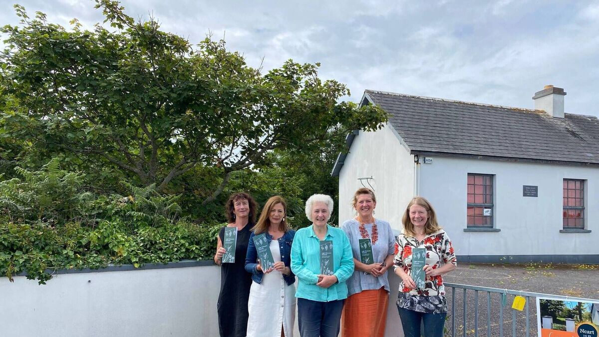 Cork group finds novel way to raise funds to purchase their former national school building