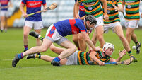 Premier SHC: Erin's Own roar back in second half to beat Glen Rovers