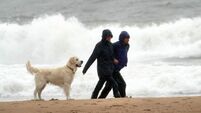 Met Éireann issues yellow rain warning for western counties