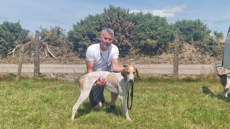 Draghunting: Authority's class and experience shines in Ballygarvan