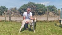 Draghunting: Authority's class and experience shines in Ballygarvan