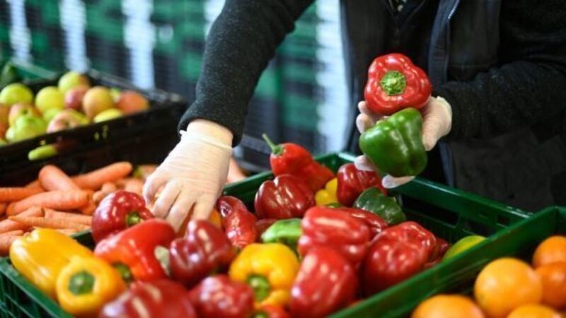 Less Irish grown vegetables in supermarkets as farmers struggle with energy costs