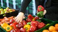 Less Irish grown vegetables in supermarkets as farmers struggle with energy costs