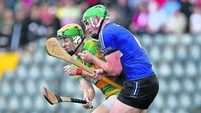John Arnold: Why hurling is my passion... and why I fear for its future