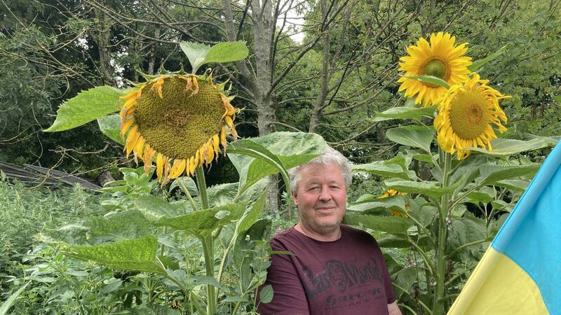 Retired Cork chef surprised to discover bumper crop of Ukrainian sunflowers in field Retired Cork chef surprised to discover bumper crop of Ukrainian sunflowers in field