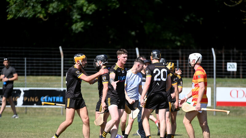 SAHC: Fermoy roar back from five points down to beat Newcestown SAHC: Fermoy roar back from five points down to beat Newcestown