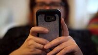 Text message scams cost victims average of €1,700 so far this year