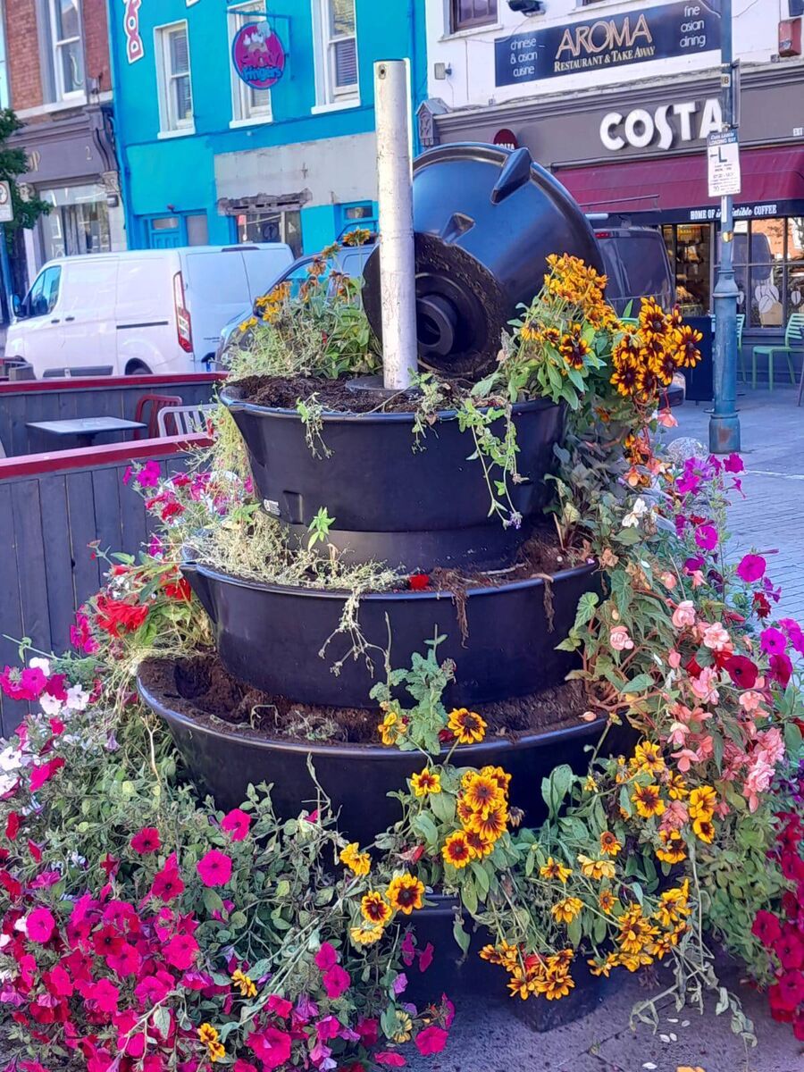 People on Princes Street have condemned vandalism to flower planters, while praising Cork City Council workers. People on Princes Street have condemned vandalism to flower planters, while praising Cork City Council workers.