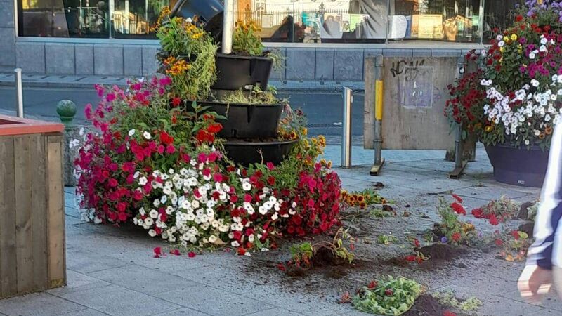 'It would sicken you to your stomach': City centre flower planters vandalised 'It would sicken you to your stomach': City centre flower planters vandalised
