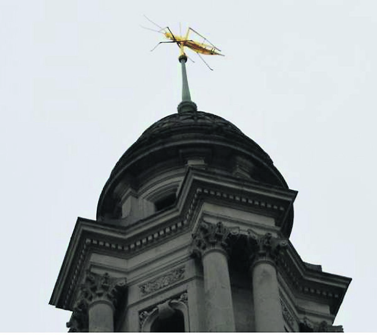 The grasshopper in the Royal Exchange in London - John Gresham once owned this building, and also one in South Mall with a similar symbol