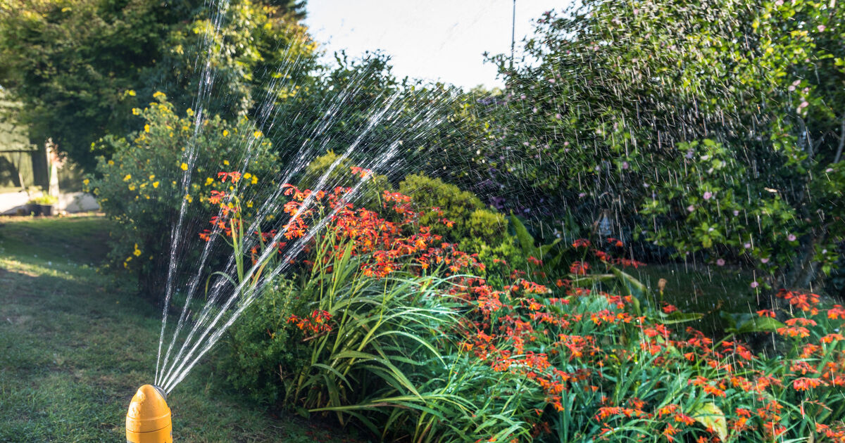 Cork towns facing overnight water restrictions as heatwave continues - Vimarsana News