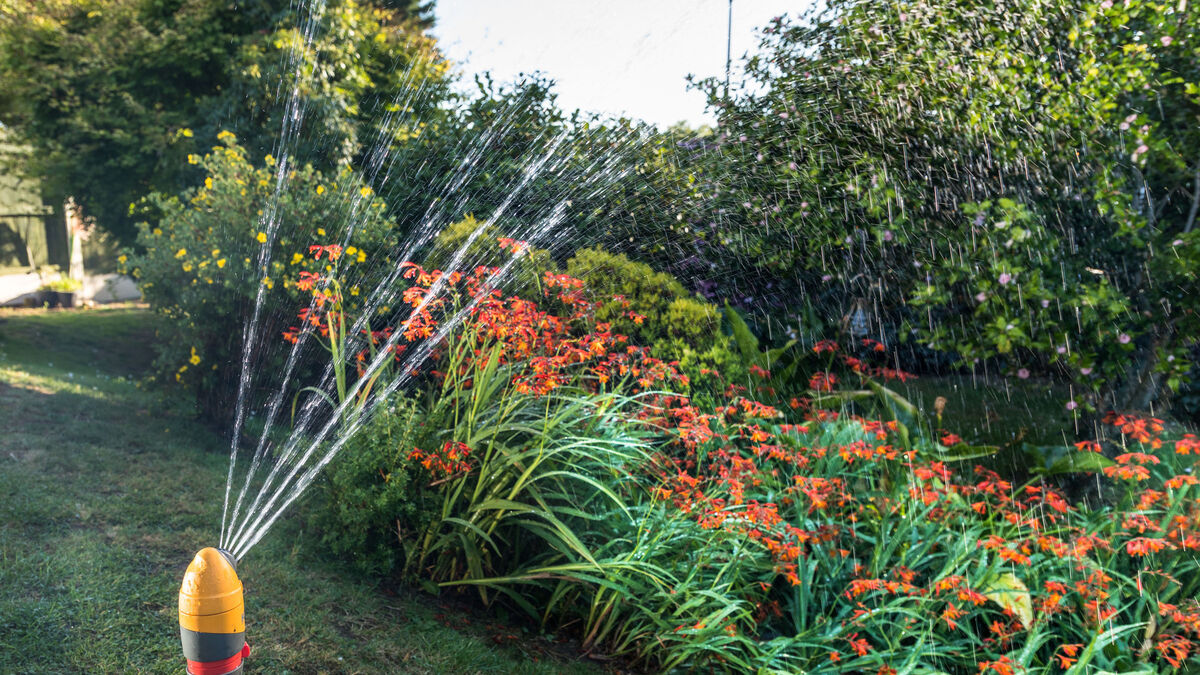 Cork towns facing overnight water restrictions as heatwave continues