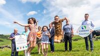 Cork dairy announces €6m bonus fund to promote sustainability 