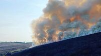 Fire fighters battle large gorse fires on Mount Leinster