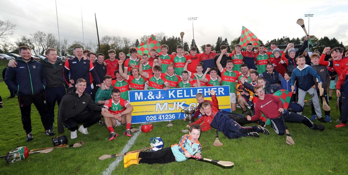  Ballinora celebrate their Mid Cork Junior A success last October. Picture: Jim Coughlan.