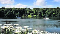 10 of the best picnic spots in Cork