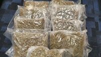 Man arrested following cannabis seizure worth €180,000 in Roscommon