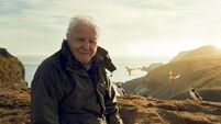 David Attenborough to present BBC series focusing on Ireland and Britain