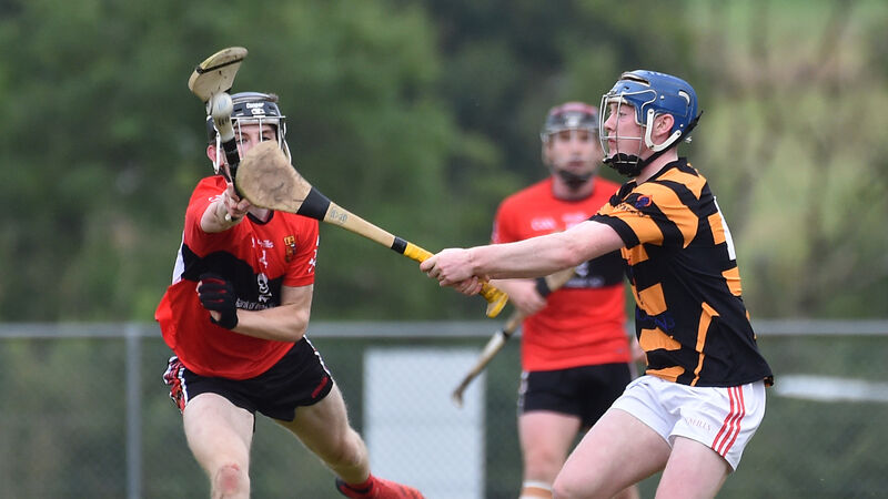 PSHC: Avondhu have too much firepower for UCC and advance to divisional final where they will face Imokilly PSHC: Avondhu have too much firepower for UCC and advance to divisional final where they will face Imokilly