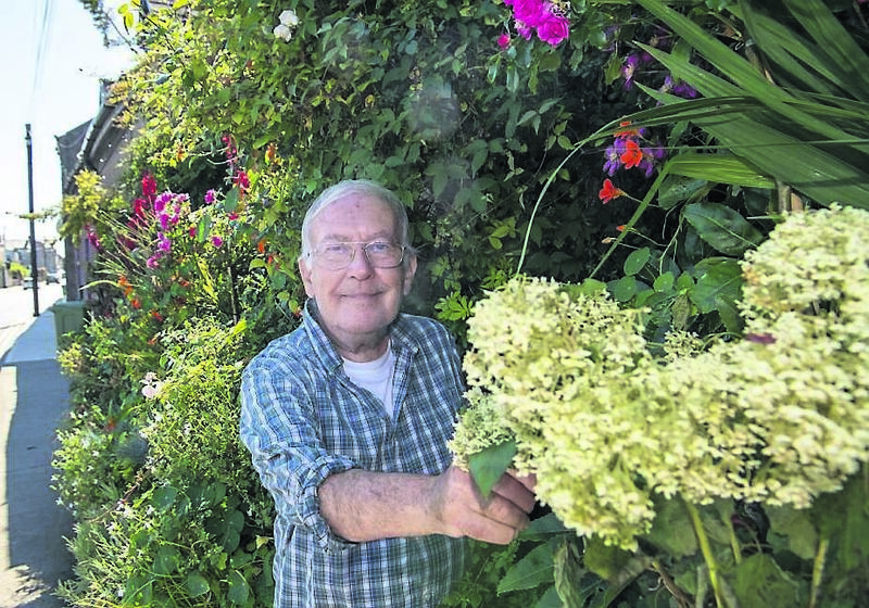 Neil Kelleher with one of his stunning blooms. Picture: Dan Linehan