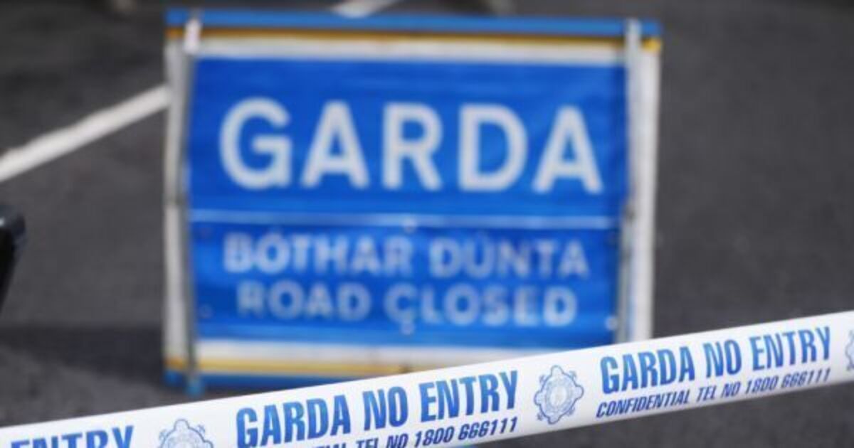 Man (50s) dies following hit-and-run incident in Cavan - Vimarsana News