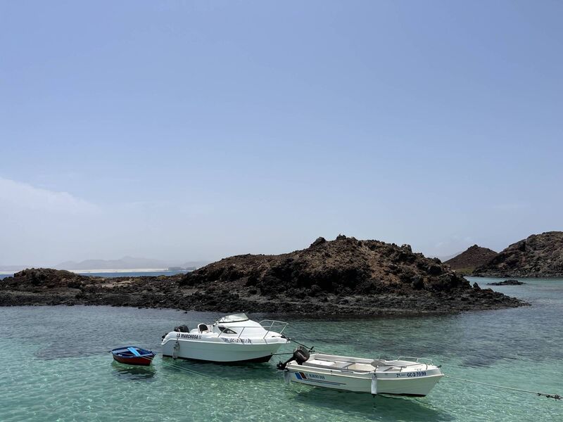 Raquel Odeh - Isla de Lobos Raquel Odeh - Isla de Lobos