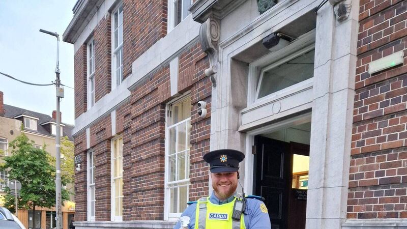 Injured seagull in Cork given 'Garda escort' to local vets