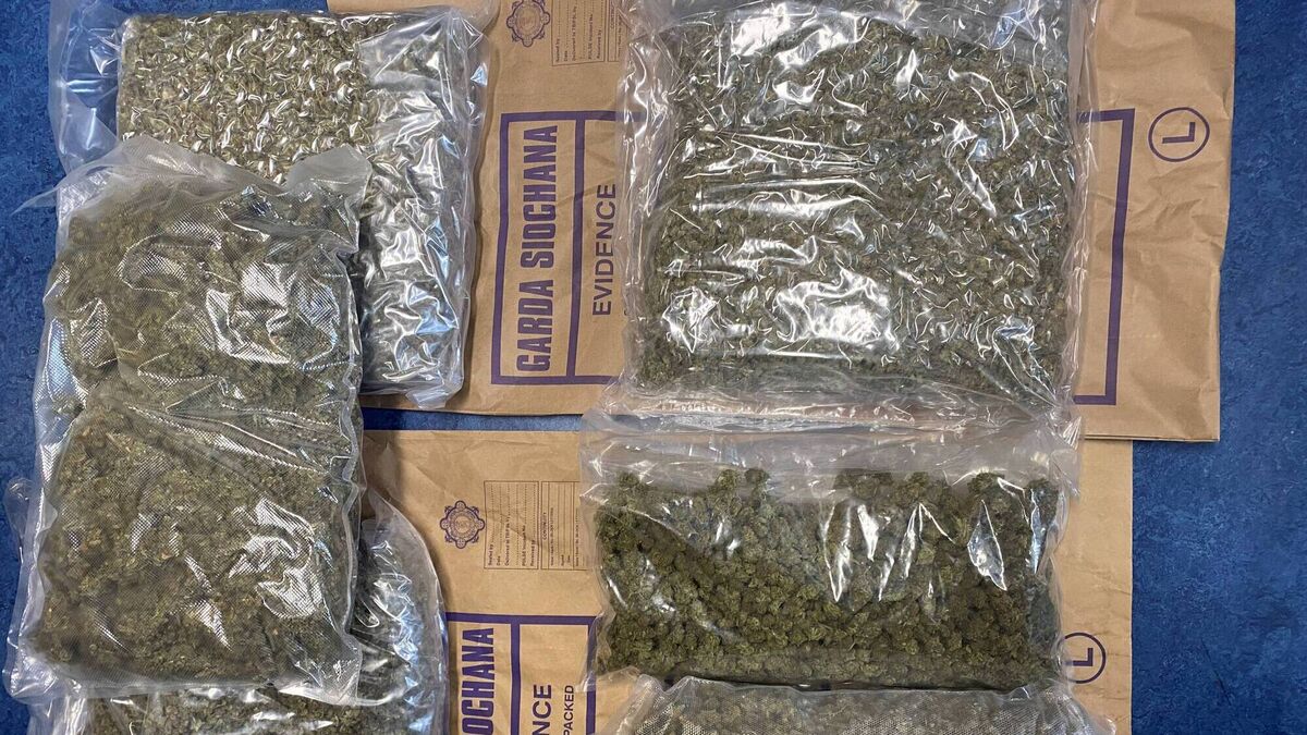 €130k worth of cannabis seized in Cork