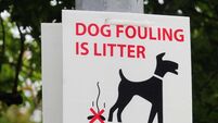 New approach to tackle dog fouling sought as city council issues just one fine in six months