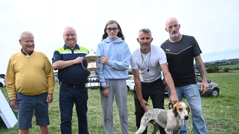 Authority proves his class by winning the Donie O'Mahony Draghunt in fine style