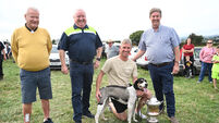 Draghunt trainer John O’Callaghan saw his class hound Authority win the sport's biggest event