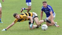 PIFC: Bantry Blues through as top seeds while Na Piarsaigh avoid the drop