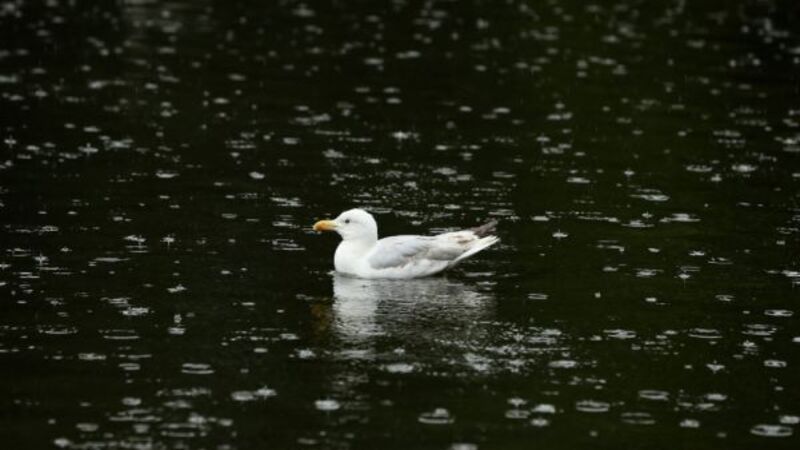 Rain warning issued for Cork and Waterford Rain warning issued for Cork and Waterford