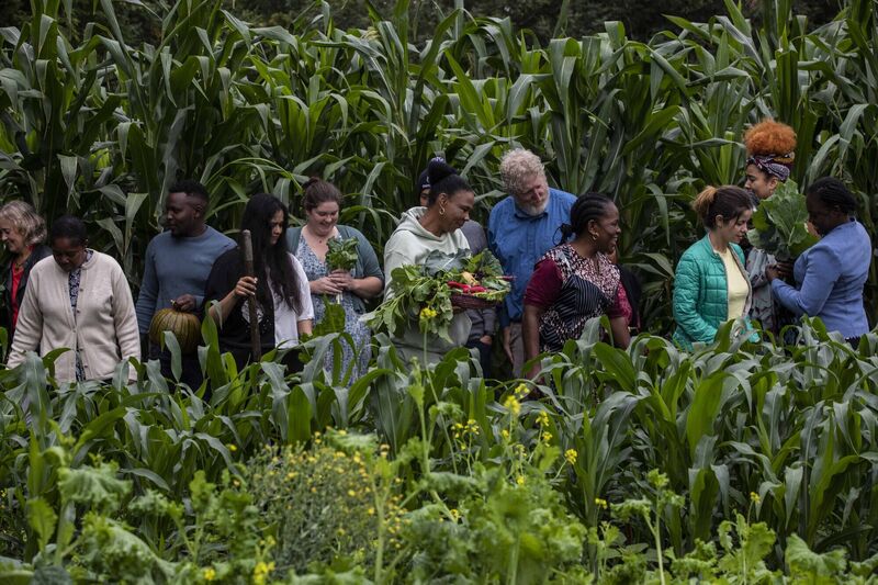 Gardeners pictured at the launch of The International Garden Centreat Ardfoyle Convent, Ballintemple celebrate their first harvest.