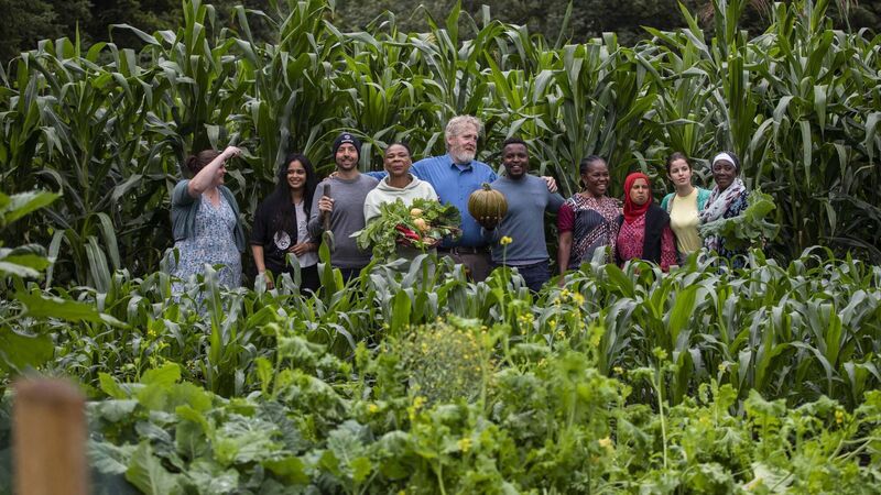 Foods from afar: Convent garden project brings migrants’ taste of home to Cork