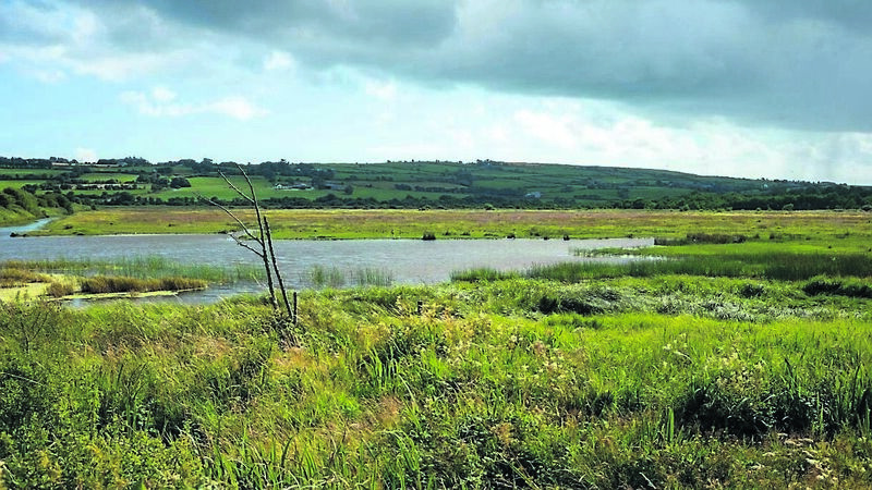 Clon wildlife centre in the works: Biodiversity group secures funding to develop environmental project Clon wildlife centre in the works: Biodiversity group secures funding to develop environmental project