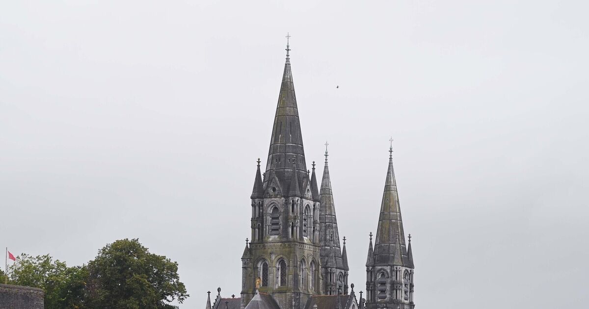 Three new priests to be ordained in Dioceses of Cork, Cloyne and Ross - Vimarsana News